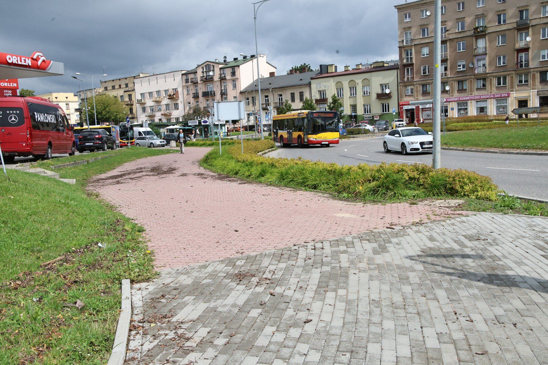 Łady po ulewie pozostały na roślinach.