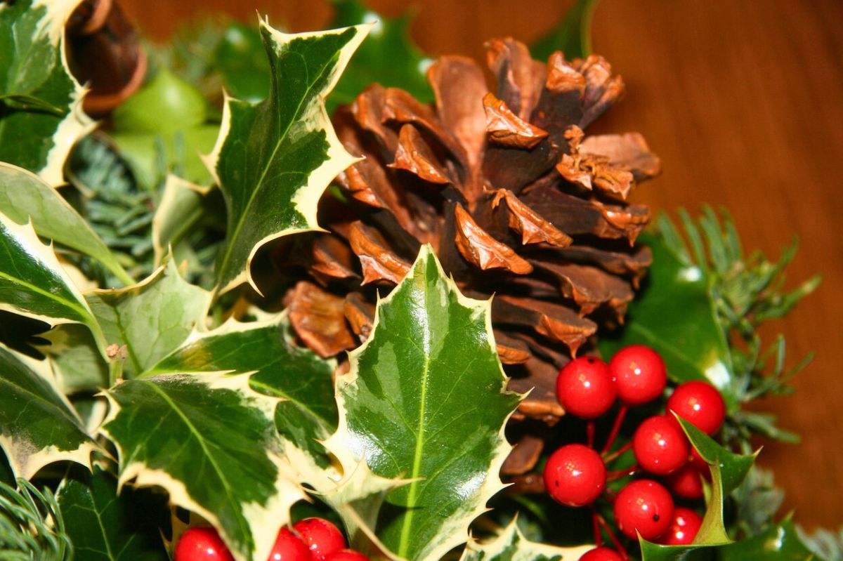 Nowa Słupia: Magiczny weekend w Parku Legend. Zobacz, co zaplanowano