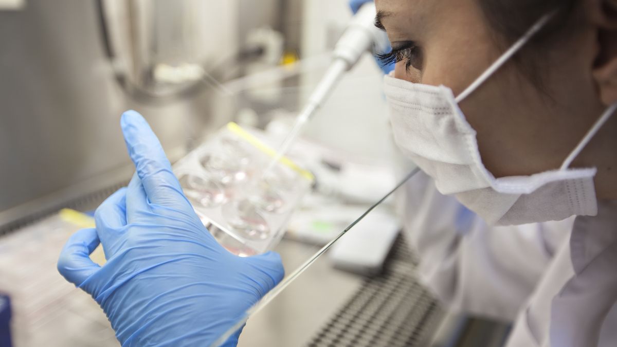 Naukowcy opracowali nowy test na COVID-19?