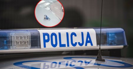 Samochód przejechał 2-latka. Nagranie krąży w sieci