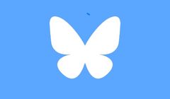 Bluesky nie zrobił w Polsce furory. Dlaczego nowym social mediom tak trudno się przebić?