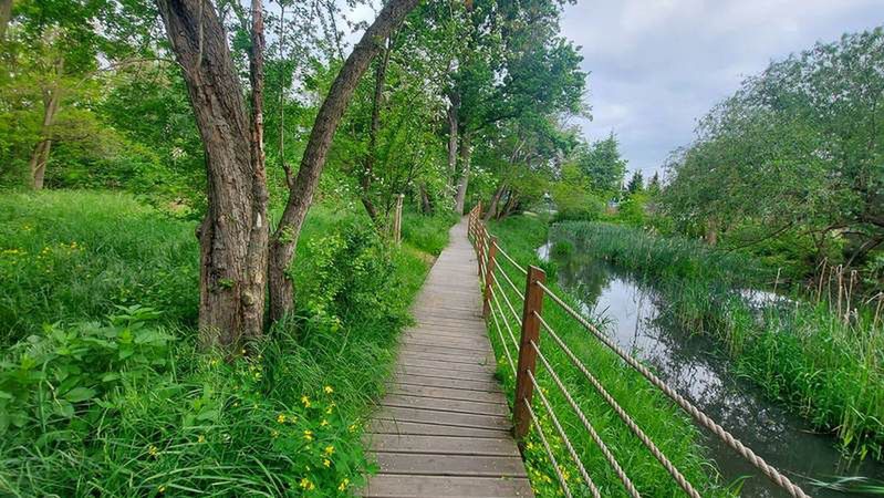 Swojczycki park czarna woda park pogoda wrocław lato