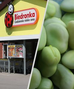 Pierwsze dostawy w sklepach. "Cena zwala z nóg"