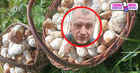231 sztuk. Aż zaczął nagrywać w lesie. "Po prostu cudo"