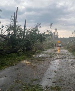 Drzewa połamane niczym zapałki! Nawałnica wyrządziła ogromne straty!