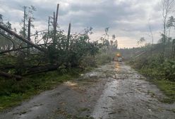 Drzewa połamane niczym zapałki! Nawałnica wyrządziła ogromne straty!