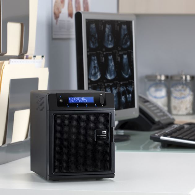 WD Sentinel DX4000
