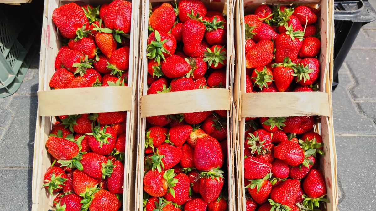 Bialystok, 18.06.2020. Stragan z truskawkami