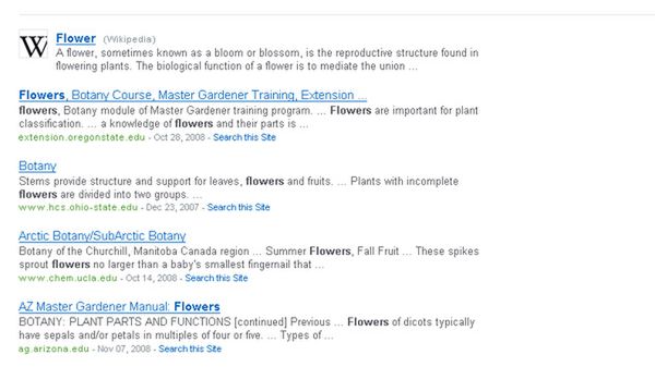 Wyszukiwarka dla studentów i naukowców 1