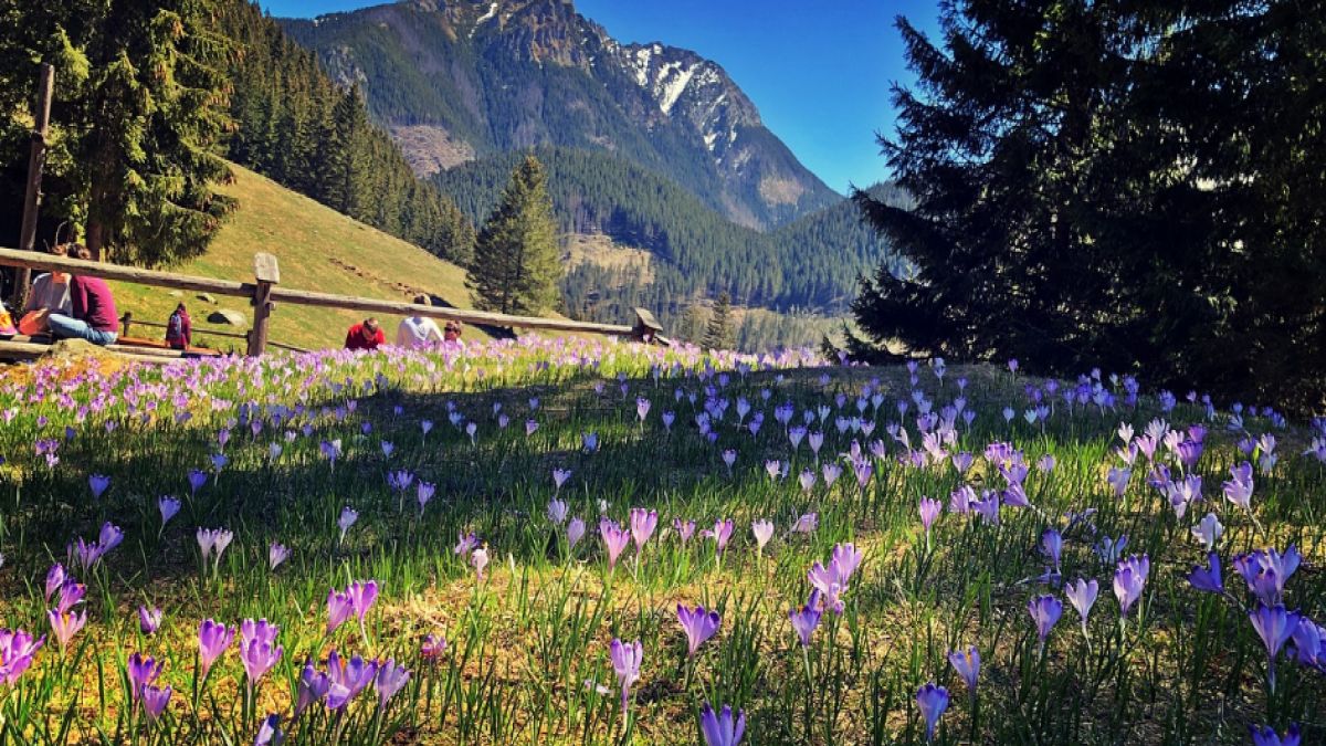 Ekstremalnie ciepły luty w Tatrach