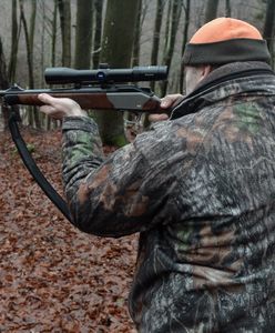 Dzik na tysiąc procent. "Po strzale zobaczyłem człowieka"