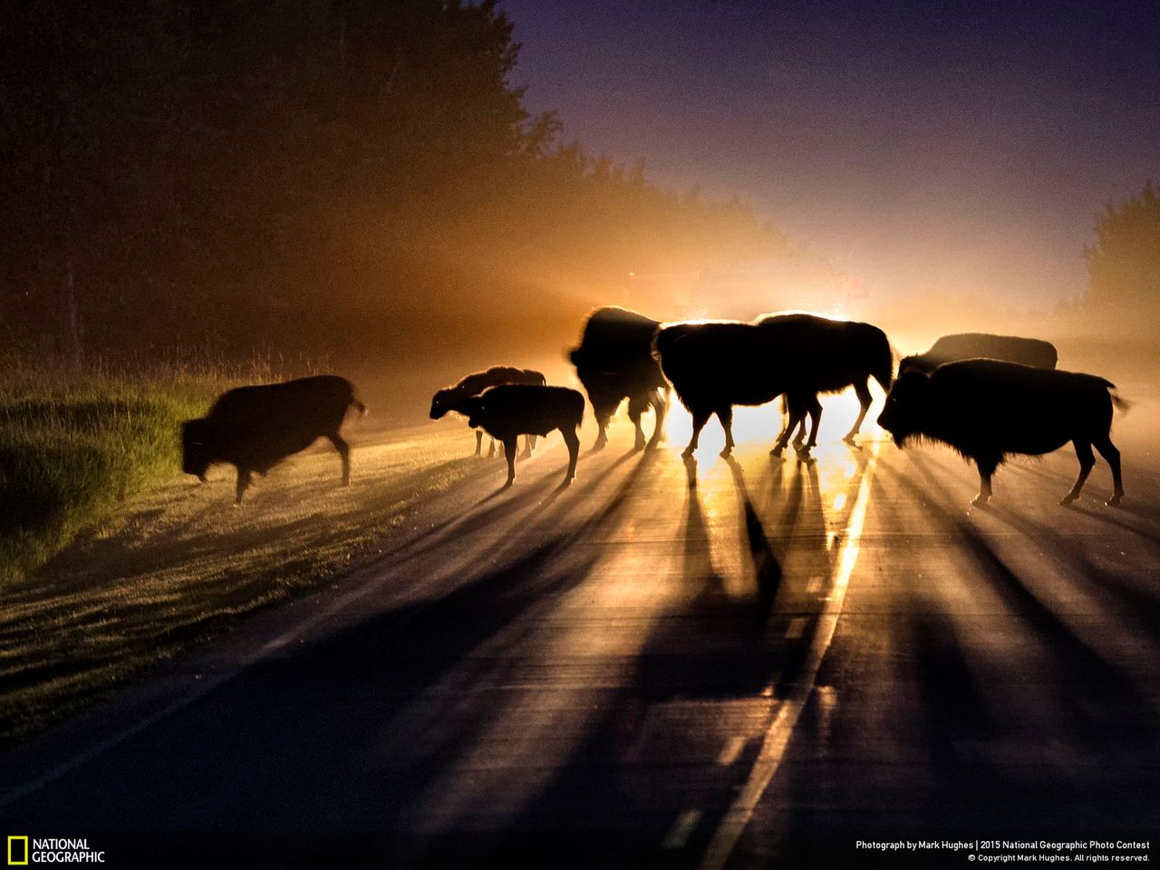 Zachwycają przyroda, czyli najlepsze zgłoszenia National Geographic Photo Contest 2015