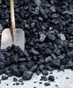 Ile kosztuje węgiel? Oto ceny w skupach przed szczytem sezonu