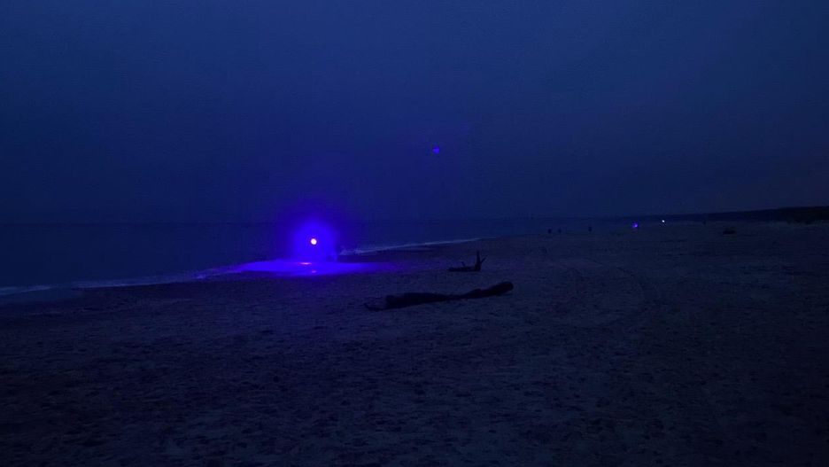 Światło UV pomaga rozpoznać kamień szlachetny 
