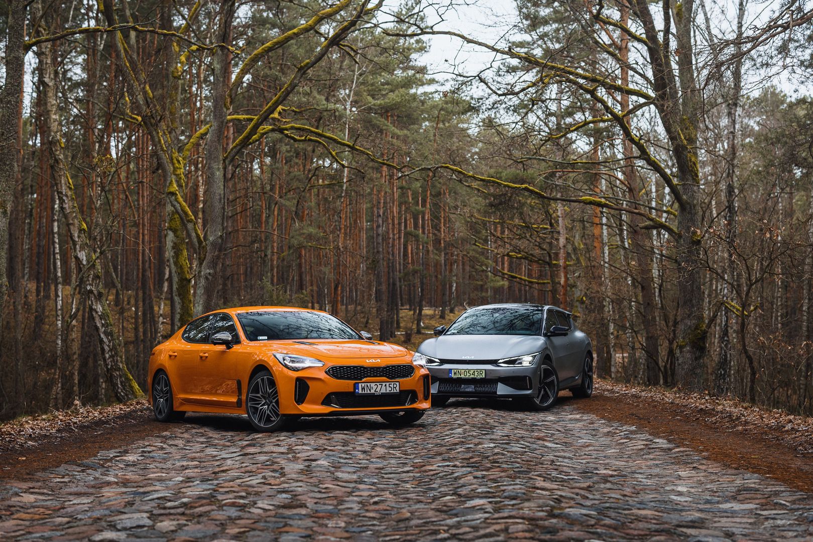 Kia Stinger GT vs. EV6 GT