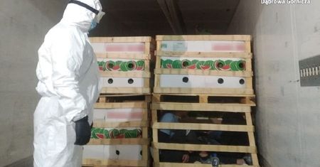 Śląsk. Otworzyli chłodnię z arbuzami. Policjanci w szoku