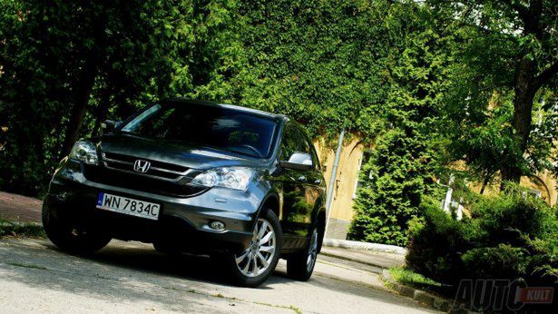 Zdjęcie ilustracyjne do artykułu