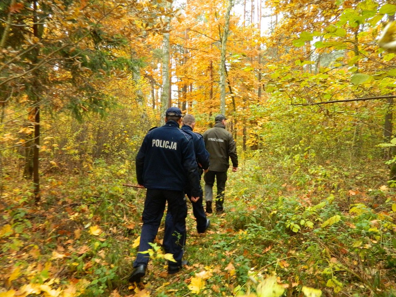 Straż leśna w akcji. Ruszyły kontrole w lasach w całej Polsce