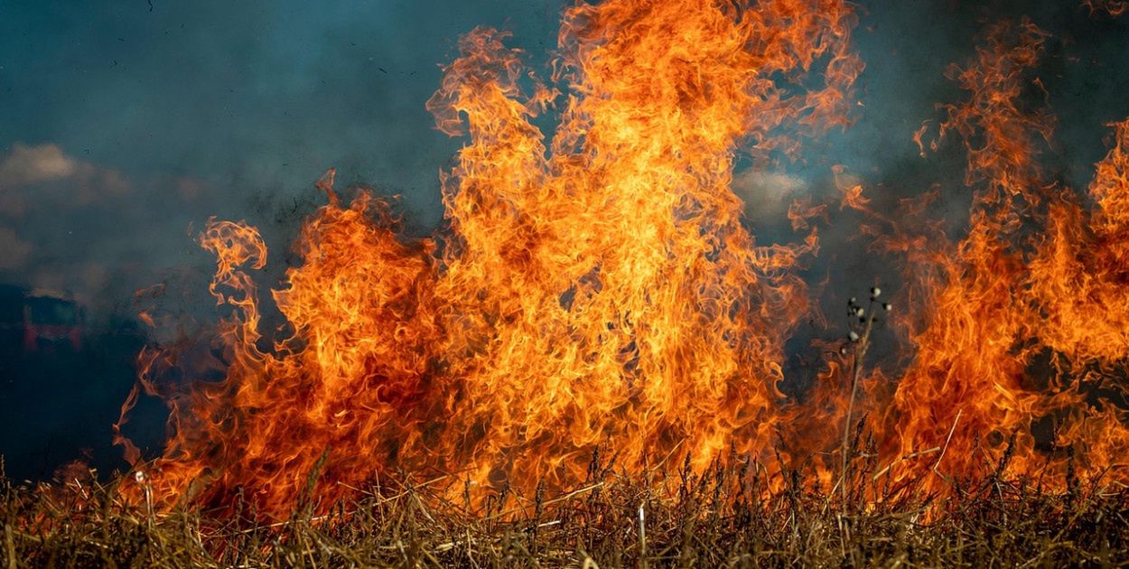 Koniec taryfy ulgowej. Rząd zaostrzy kary dla podpalaczy