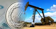 Ropa naftowa najtańsza od pandemii. Nagła zmiana prognoz nadzieją dla kierowców