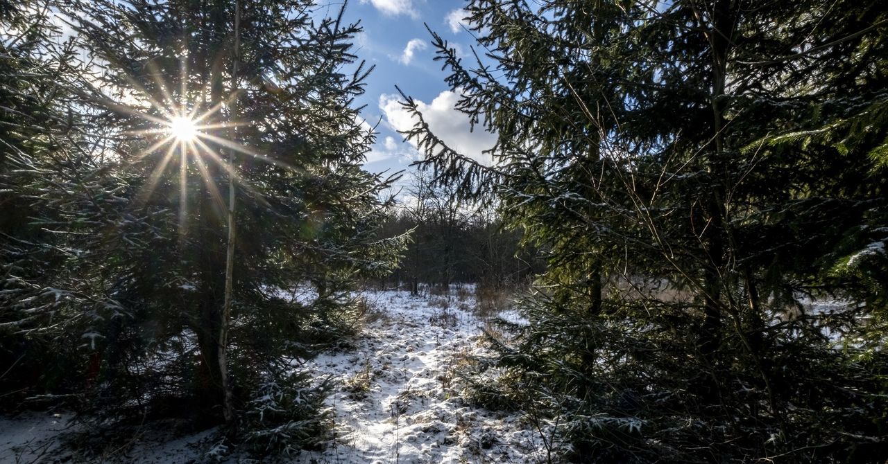Czy oddychasz czystym powietrzem? Odwiedź te miejsca w Polsce. Twoje płuca ci podziękują