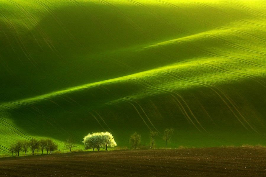 Marcin Sobas swoją przygodę z fotografią rozpoczął kilka lat temu, gdy otrzymał pierwszy aparat kompaktowy od ojca. To ojciec zaszczepił mu także wrażliwość na uroki natury. Kolejnym krokiem był zakup lustrzanki i wtedy przygoda Marcina zaczęła się na poważnie.