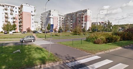 Poznań. Młody mężczyzna zginął na pasach. Kierowca obwinia jego dziewczynę