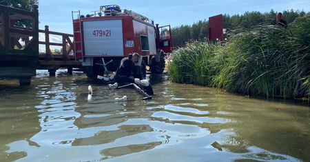 Tragedia nad jeziorem. Para po kłótni wpadła do wody. Oboje nie żyją