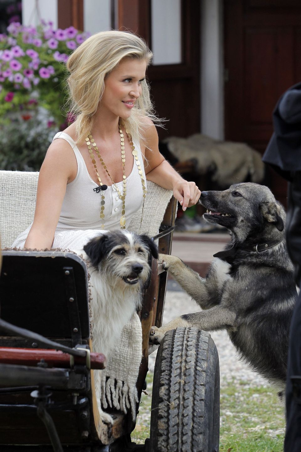 Joanna Krupa z psami