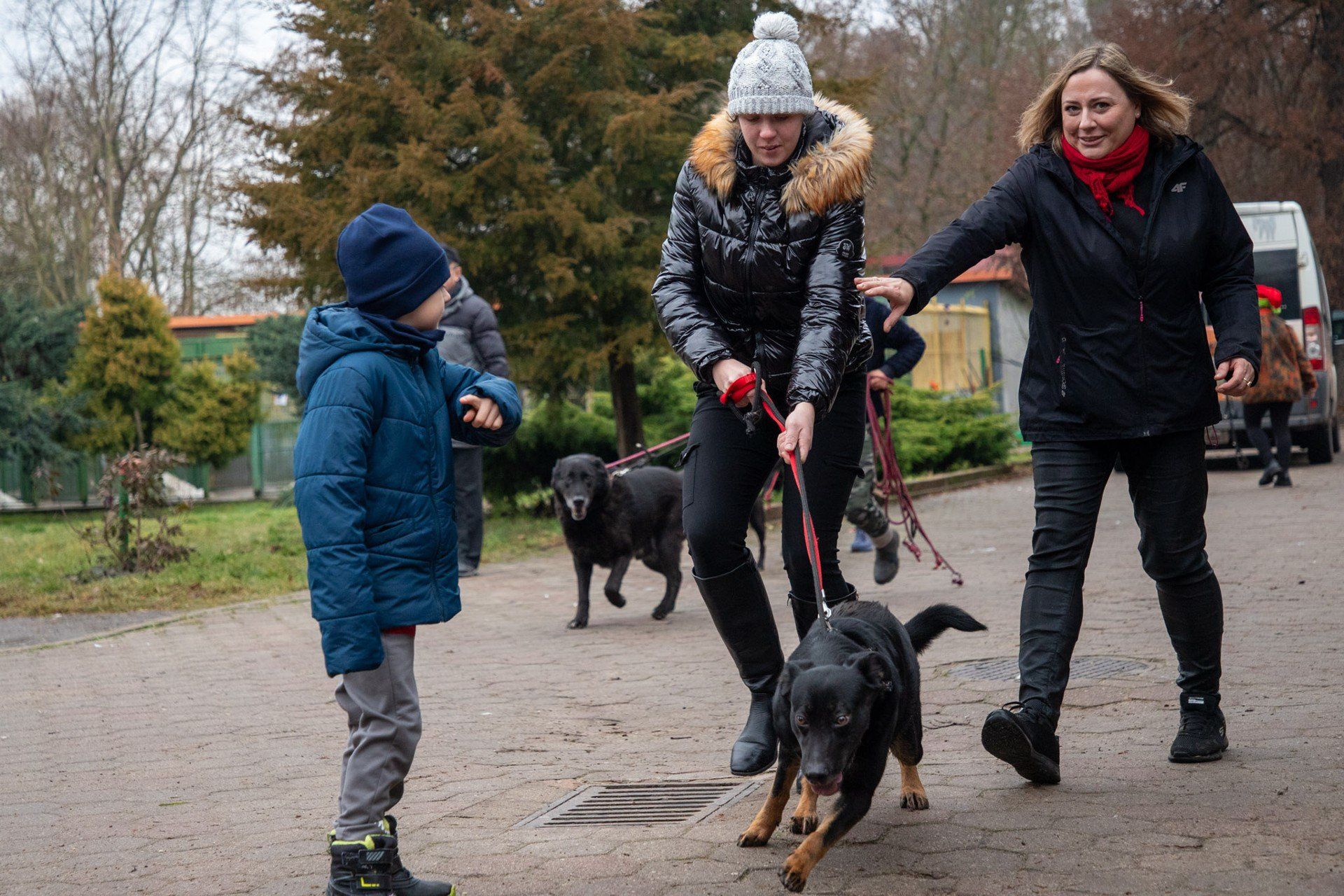 Akcja &#34;Wyprowadź psa na spacer&#34; w toruńskim schronisku
