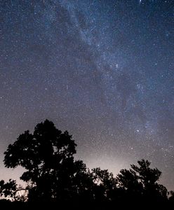 W nocy nastąpi kulminacja. Nawet sto meteorów w ciągu godziny