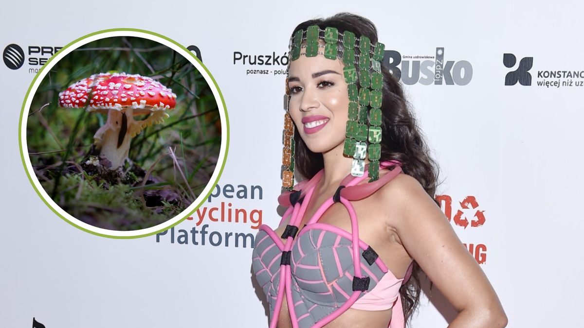 Influencerka pochwaliła się zbiorem grzybów