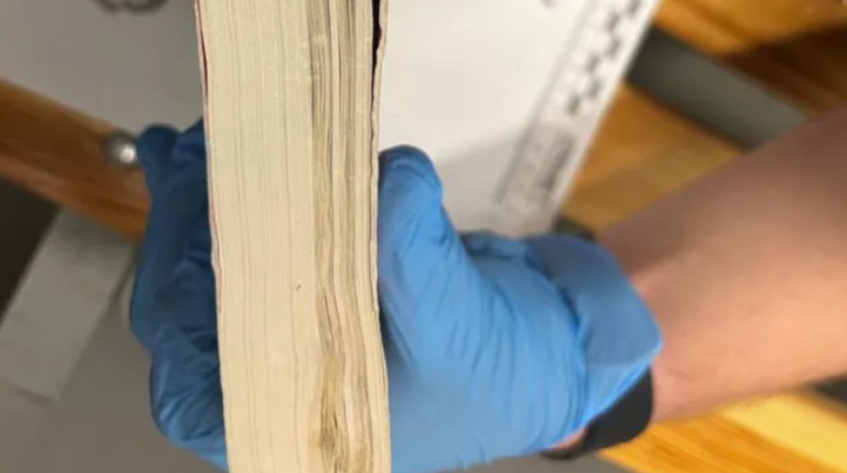 Strzelce Opolskie: Próbowała przemycić synowi narkotyki... w książce