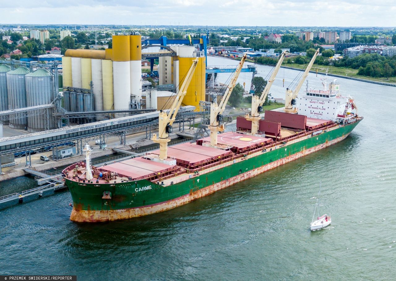 Nadwyżka zboża z Ukrainy. "Doprowadziło do tego kilkanaście firm"