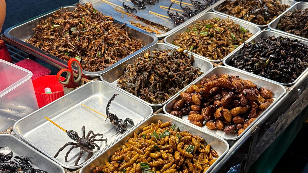 Jakie trendy żywieniowe mogą zdominować najbliższe lata?