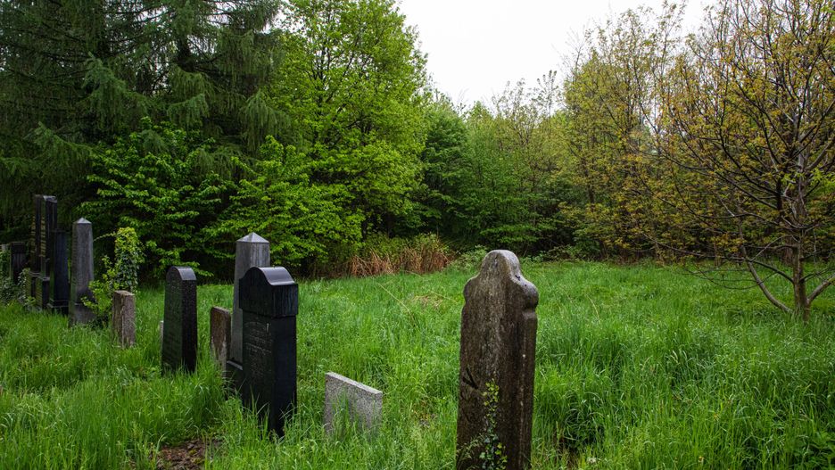 Śląskie. Na niegrzebalnej części cmentarza żydowskiego przy ul. Cieszyńskiej w Bielsku-Białej powstanie Tajemniczy Ogród.