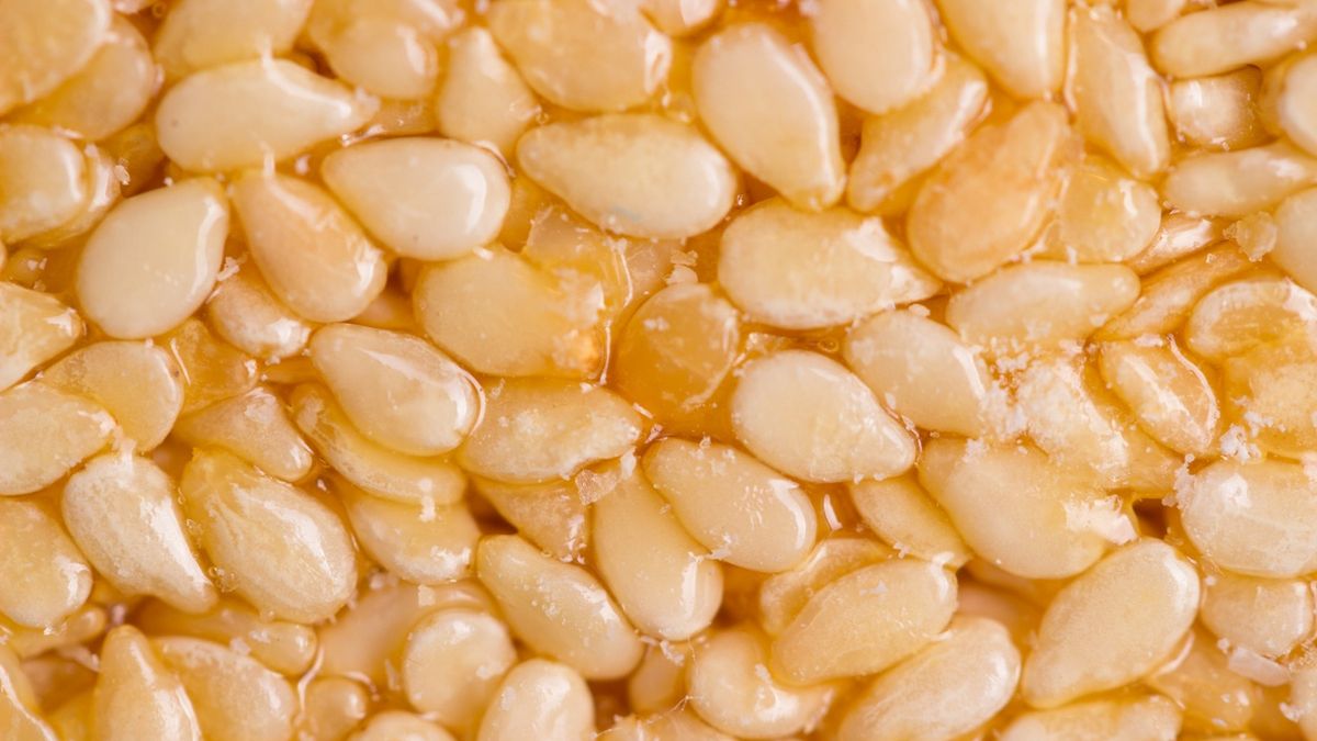 Miód i sezam to połączenie o wielu właściwościach prozdrowotnych