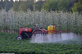 Pestycydy zagrażają dzieciom. Polska w ogonie niechlubnego rankingu