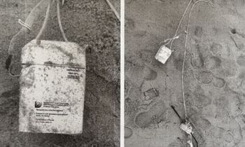 Znaleźli dziwny obiekt na plaży. Od razu zaalarmowali służby