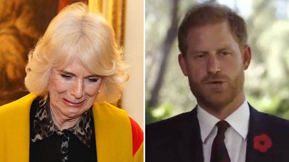 Królowa Camilla, książę Harry 