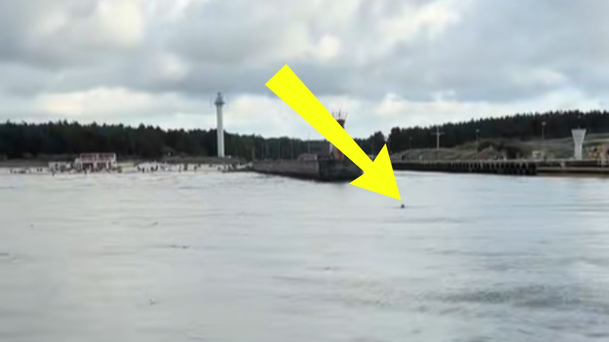 Nagranie z Łeby. Mężczyzna pływał w porcie.