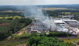 Finał akcji w Zielonej Górze. Prezydent miasta z pilnym apelem do służb