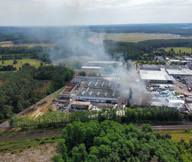 Finał akcji w Zielonej Górze. Prezydent miasta z pilnym apelem do służb