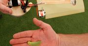 Atak klonów, czyli minihelikopter, który czerpie z natury