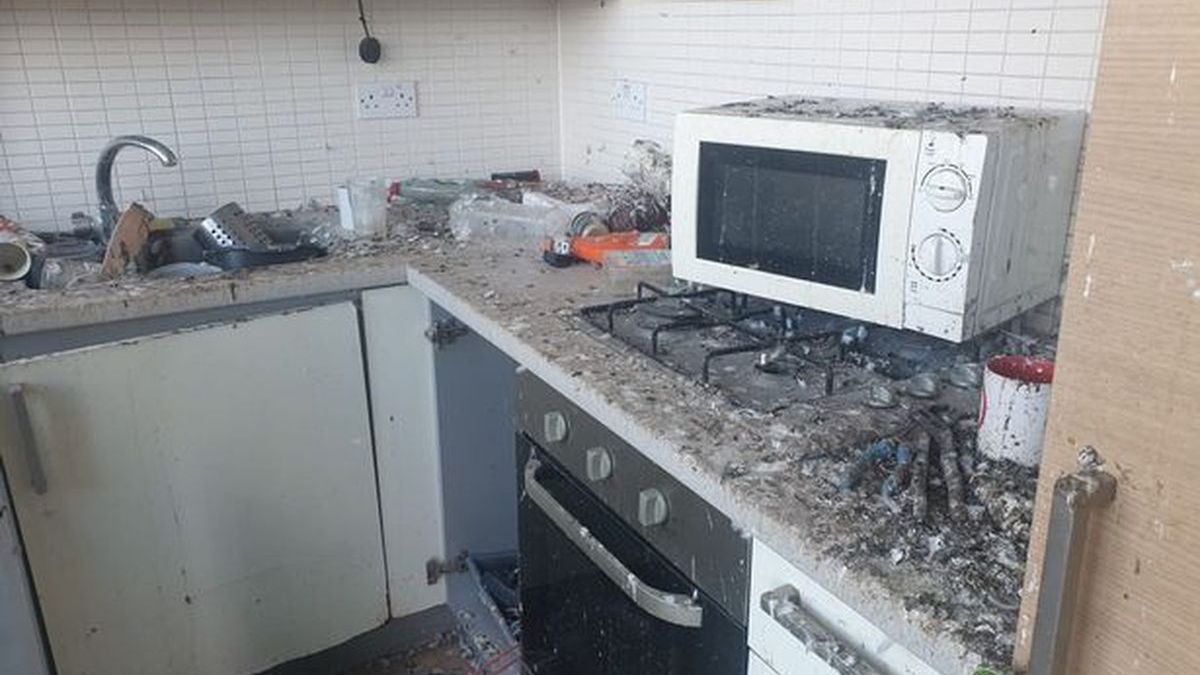 Gołębie wyrządziły szkód na ponad 80 tys. zł. Smród był "przytłaczający"