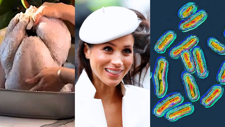 Meghan Markle wzięła się za indyka i zaliczyła wtopę