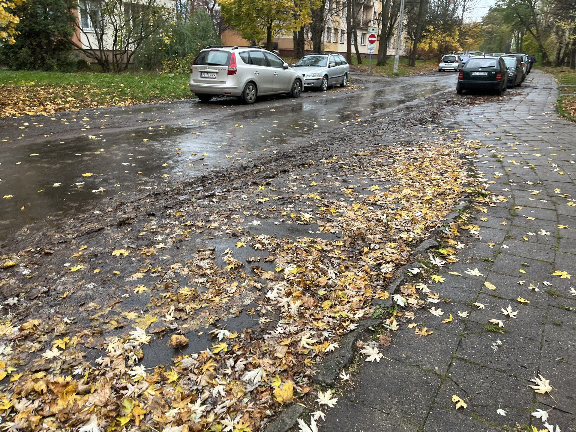 Osiedle Nowe Rokicie przy ul. Komfortowej