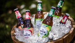 Okocimscy piwowarzy opowiadają, jak powstają piwa Okocim Radler (wideo)