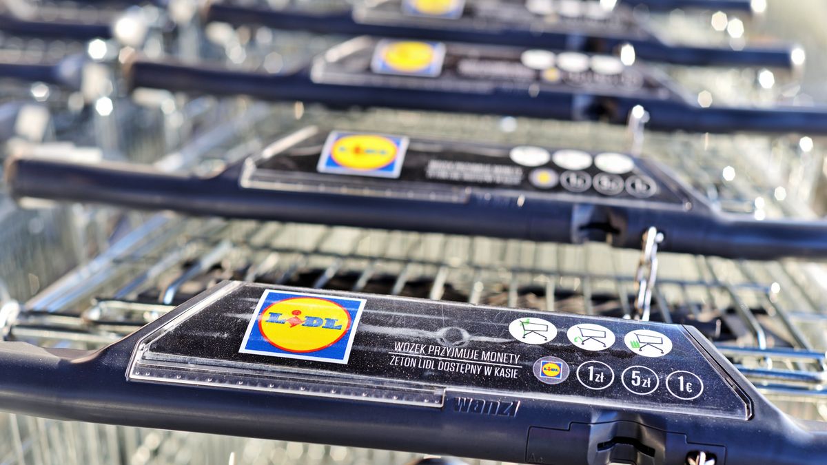 Lidl ma w swojej ofercie ponad 30porduktów dla wegetarian i wegan 