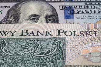 Złoty w czołówce walut na świecie. Oto dlaczego tak się dzieje